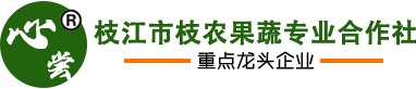 枝江市枝农果蔬专业合作社